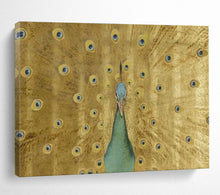 Load image into Gallery viewer, Ornate Peacock Painting on Canvas - “Golden Plumage” DKH740