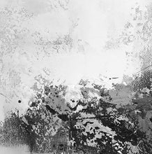 Load image into Gallery viewer, Black And White Paintings Large Living Room Wall Art Wp021