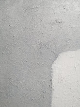 Load image into Gallery viewer, Nude Art Gray And White Art Abstract Painting Dp058