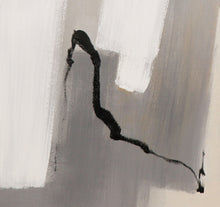 Load image into Gallery viewer, Black and White Paintings Large Canvas Art for Living Room Np105