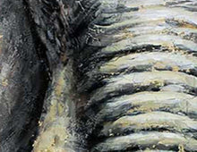 Load image into Gallery viewer, Oversized Gold And Gry Elephant Canvas Art Gold Leaf Art Dp044